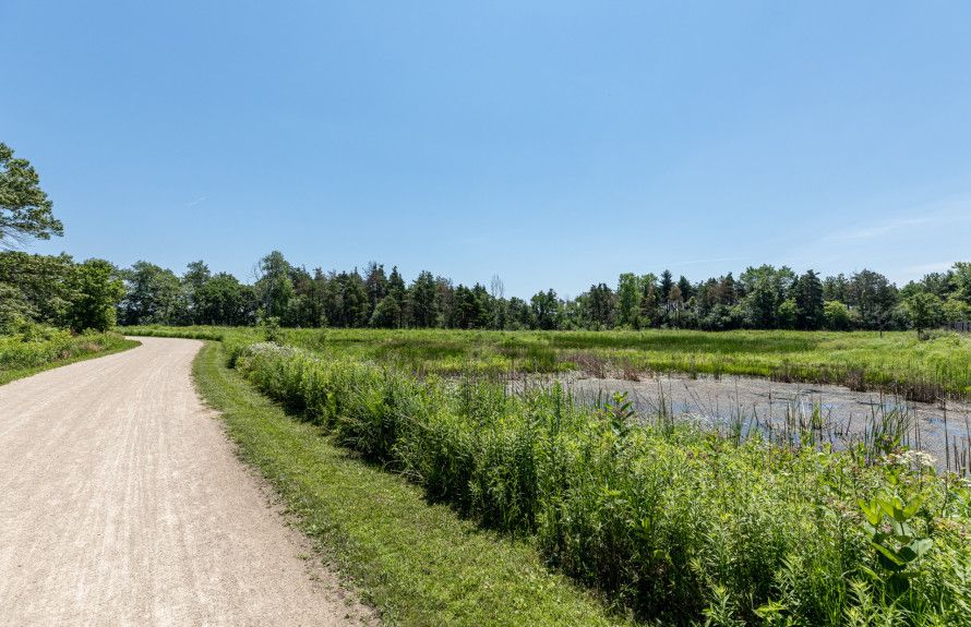 Millennium Trail