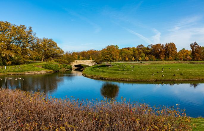 Ponds and Lakes On-Site
