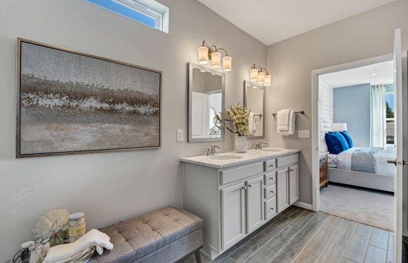 Owner's Bath