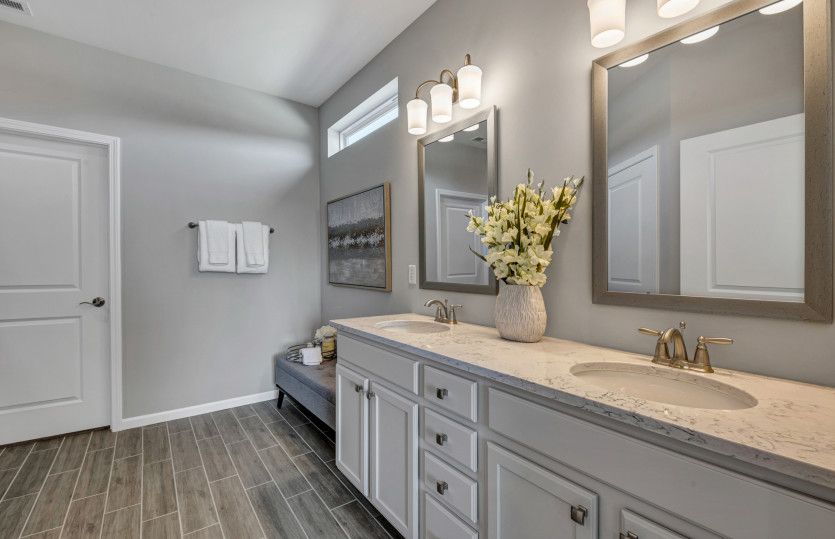 Owner's Bath with Double Bowl Vanity