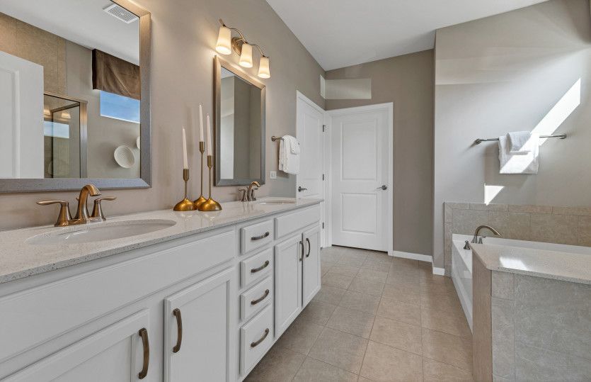 Double Bowl Vanity in Owner's Bath