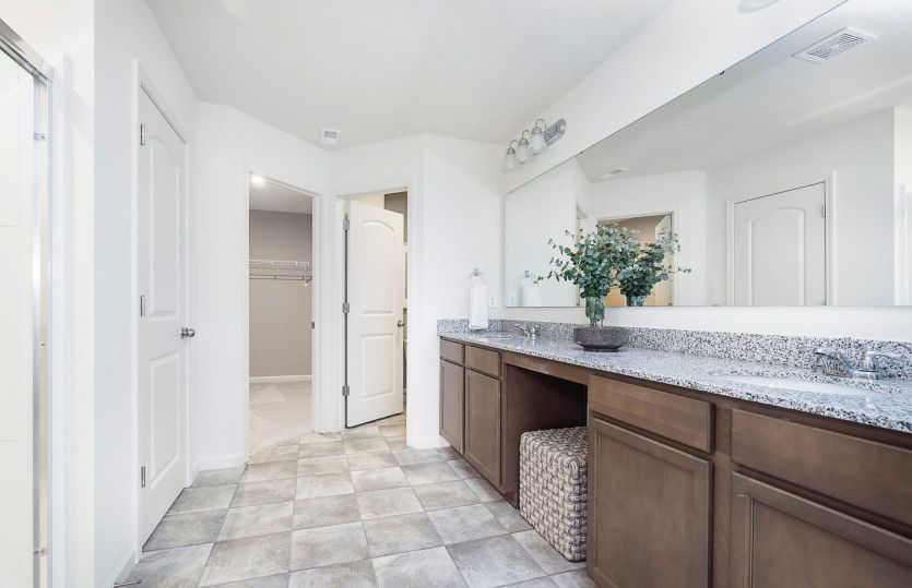 Owner's Bath