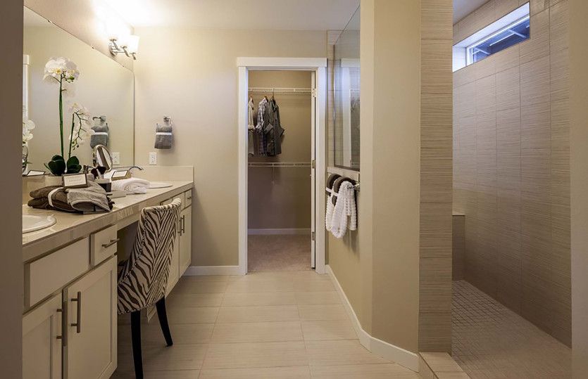 Owner's Bath