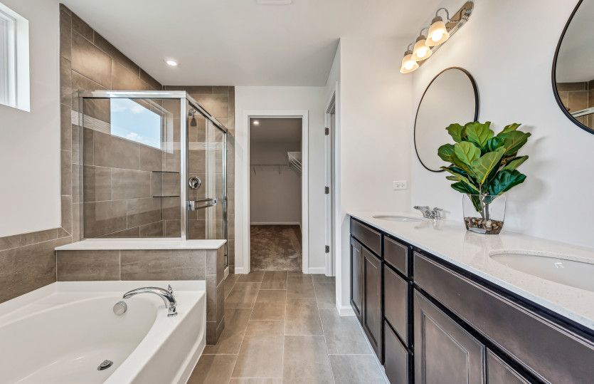 Separate Tub/Shower in Owner's Bath