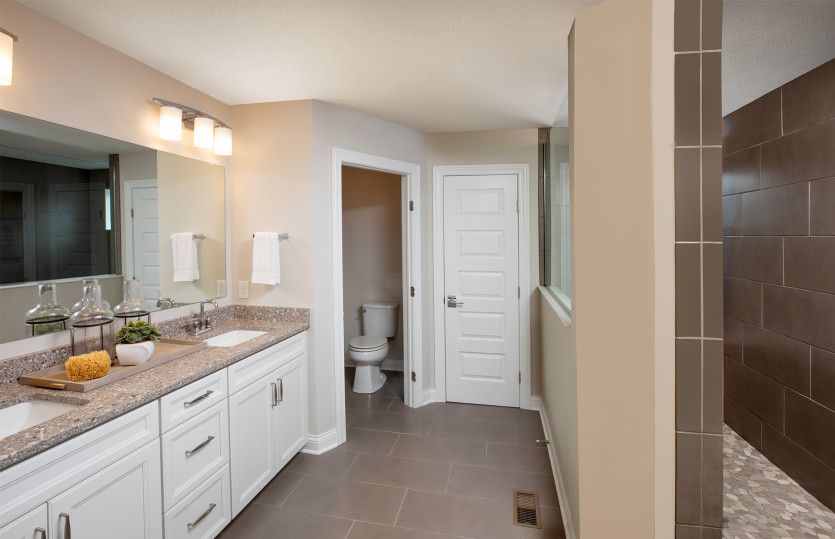 Owner's Bath