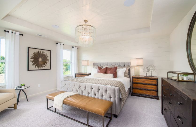 Elegant Tray Ceiling in Owner's Bed (opt.)