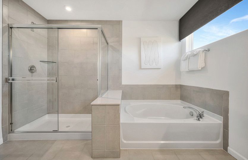 Separate Tub/Shower in Owner's Bath
