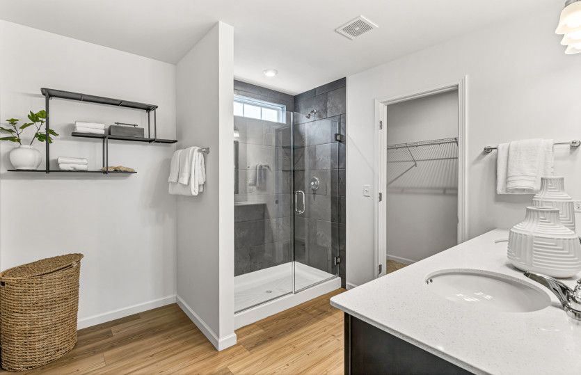 Owner's Bath