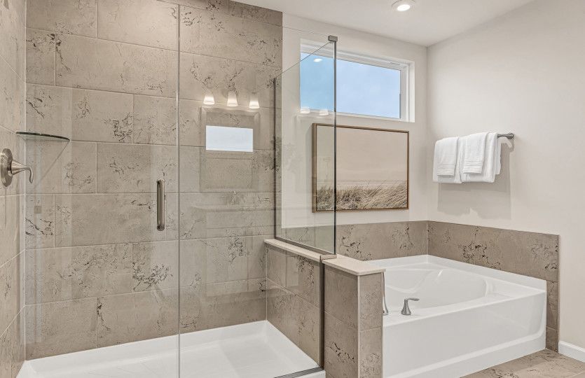 Separate Tub/Shower in Owner's Bath
