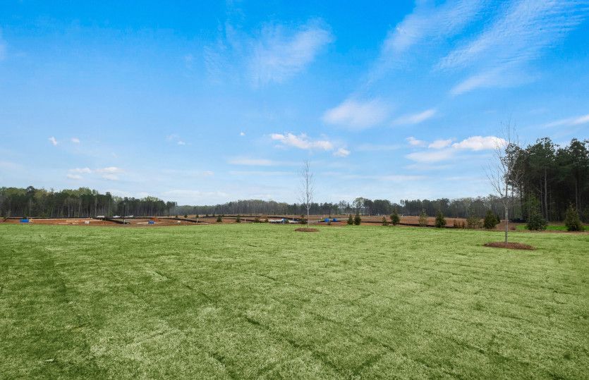 Spacious Backyards