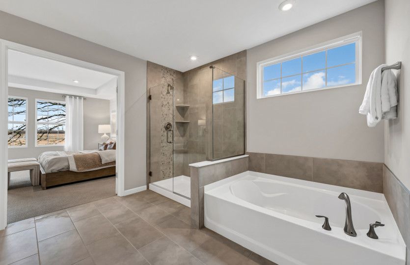 Separate Tub and Shower in Owner's Bath