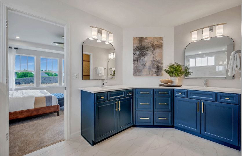 Owner's Bath with Dual Vanities