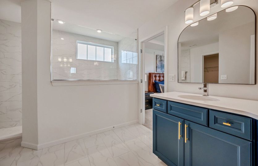 Spa-Like Owner's Bath with Walk-In Shower