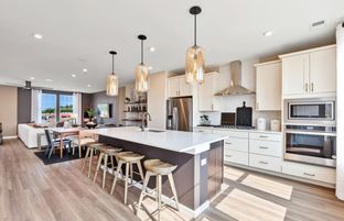 Jayton - Towns at Bell Works: Hoffman Estates, Illinois - Pulte Homes