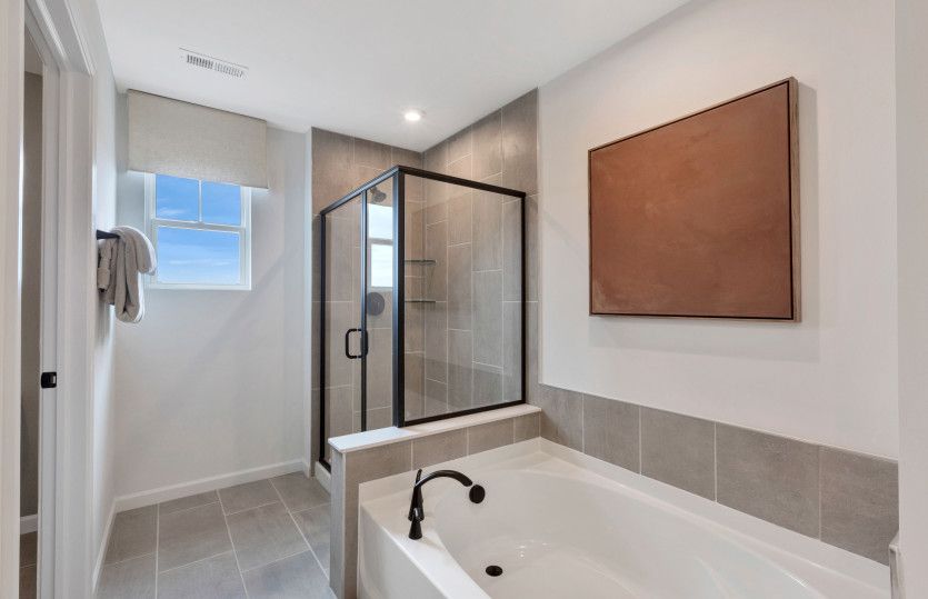 Separate Tub and Shower in Owner's Bath
