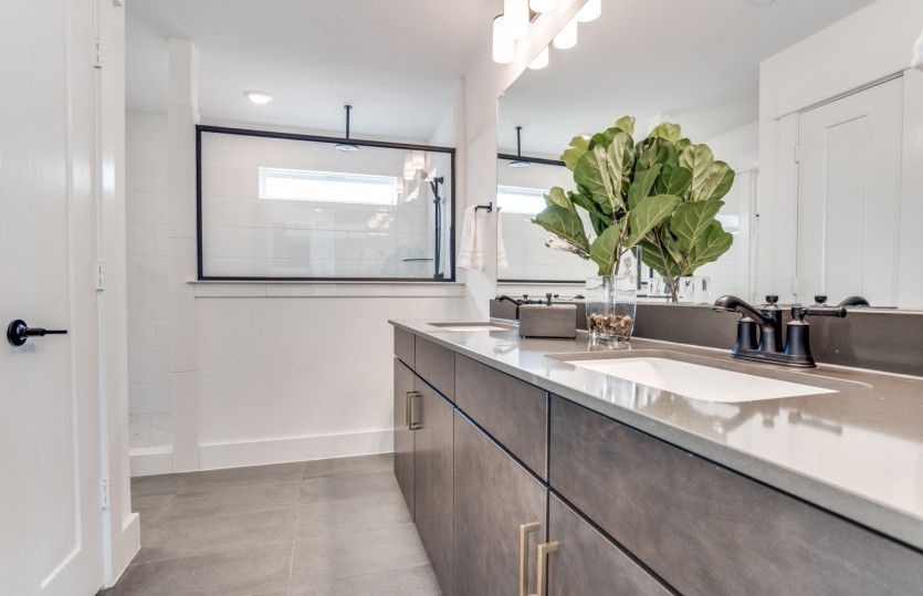 Double vanity in owner's bath