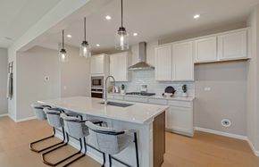 Villas of Fair Oaks by Pulte Homes in Chicago Illinois