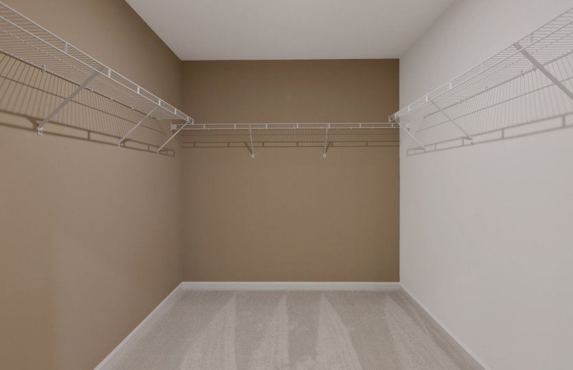 Walk-in Closet with Shelving