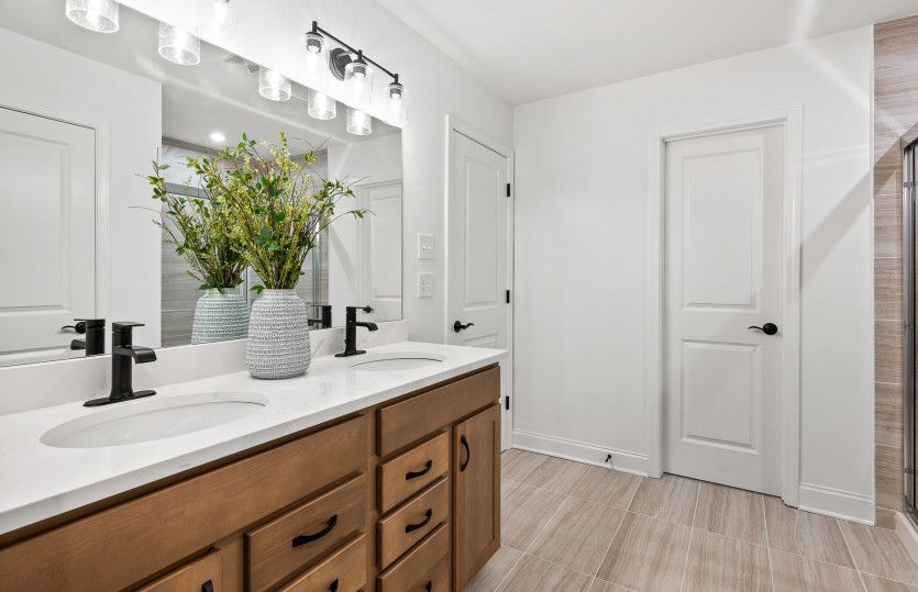 Owner's Bath