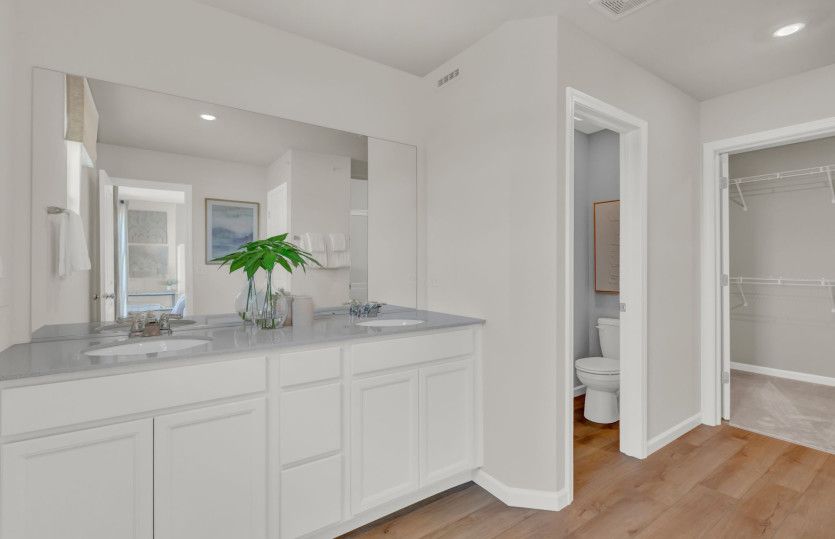 Spa-Like Owner's Bath with Dual Vanity