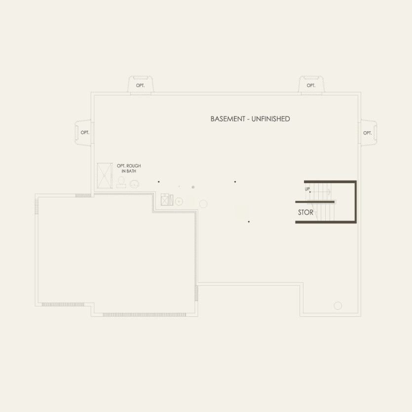 Basement 4 br / 3.5 ba