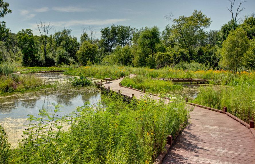 Close to Forest Preserves