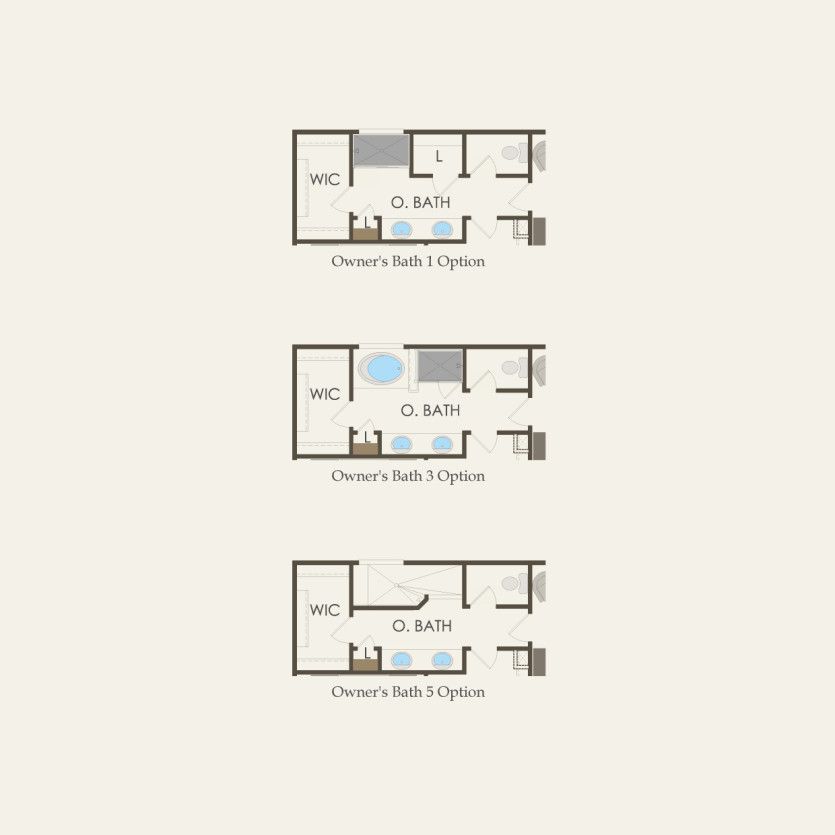 Options2