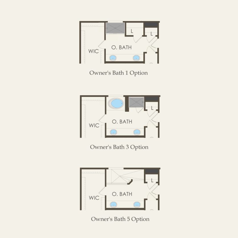 Options2