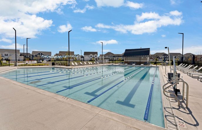 Lap Pool