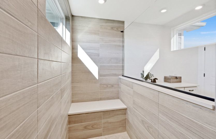 Optional Walk-In Shower