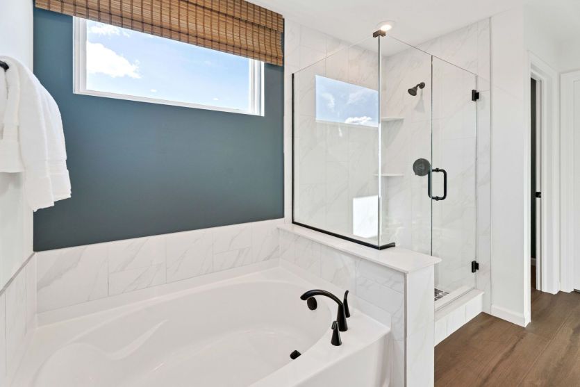 Separate Tub and Shower in Owner's Bath