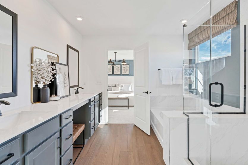 Owner's Bath