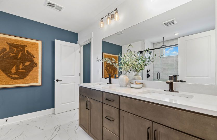 Owner's Bath