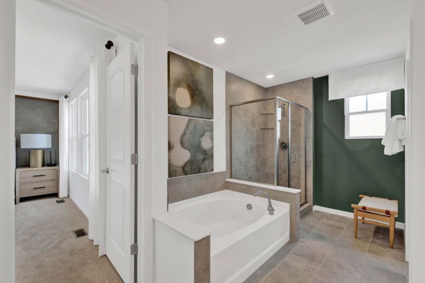 Owner's Bath