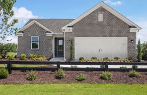 248 Nesta Grove Drive (Medina)