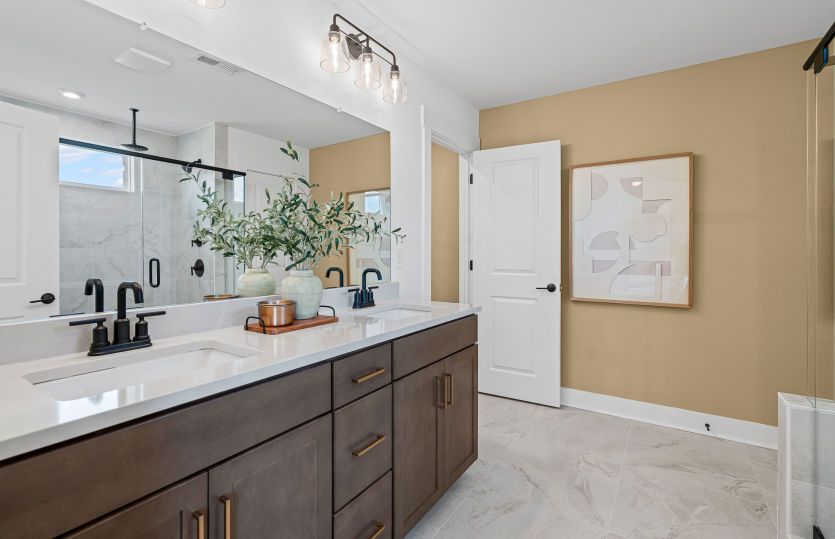 Owner's Bath