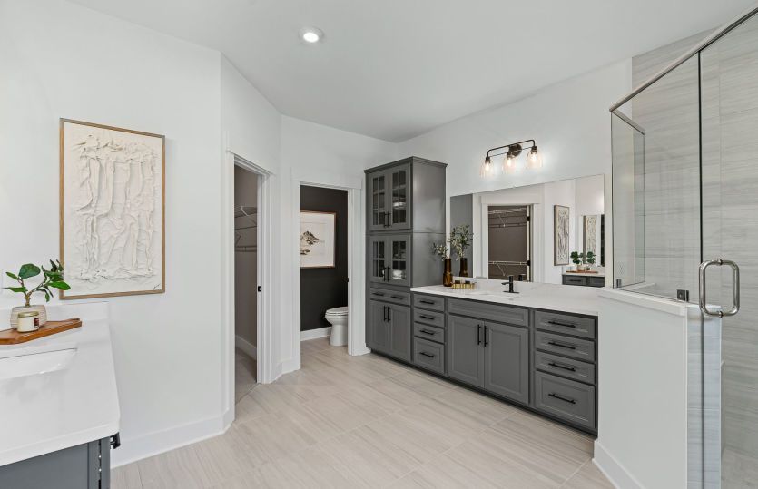 Owner's Bath