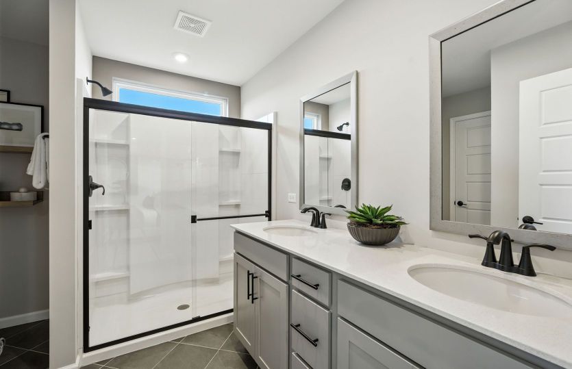 Owner's bath with walk-in shower