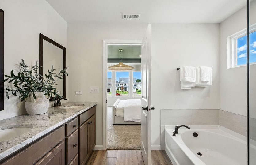 Spa-like owner's bath with double vanity sink