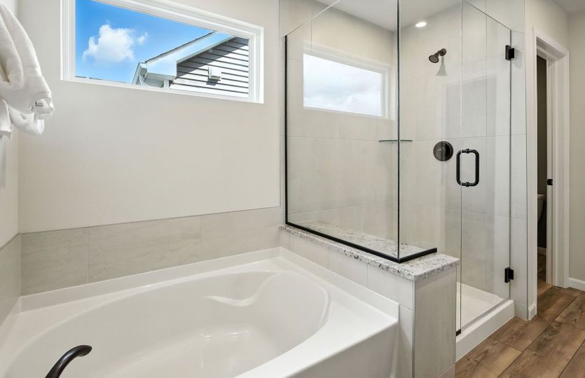 Separate tub and shower in owner's bath