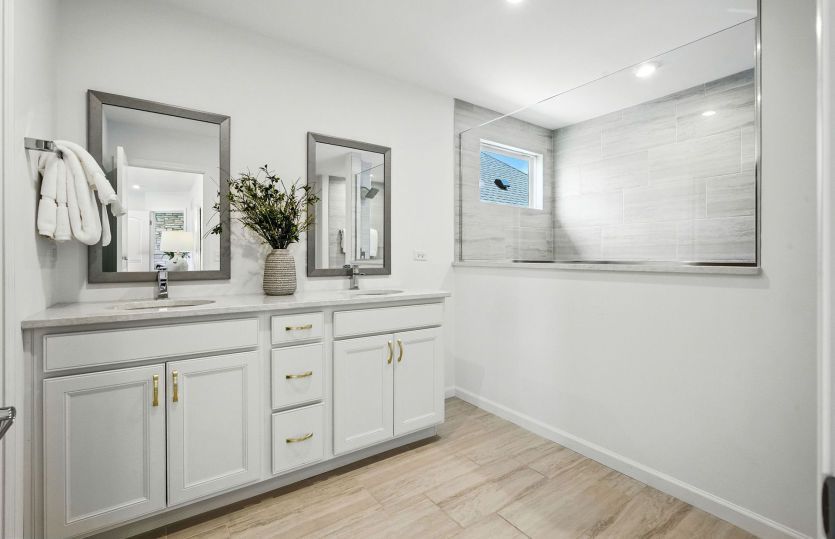 Spa-like owner's bath with double vanity sink