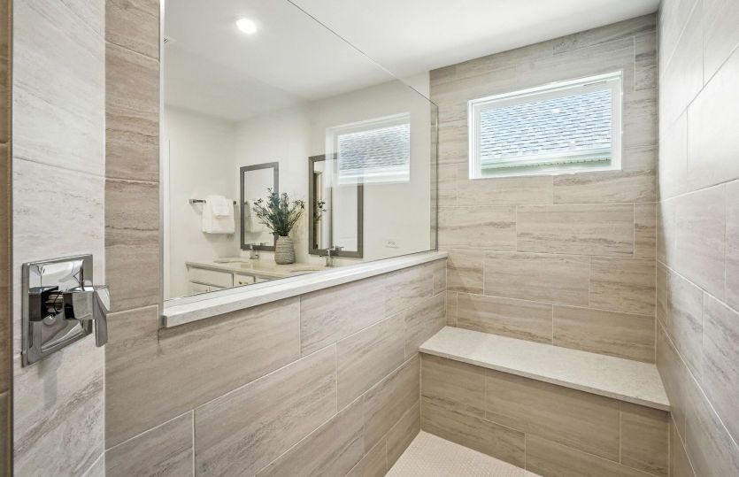 Walk-in owner's shower
