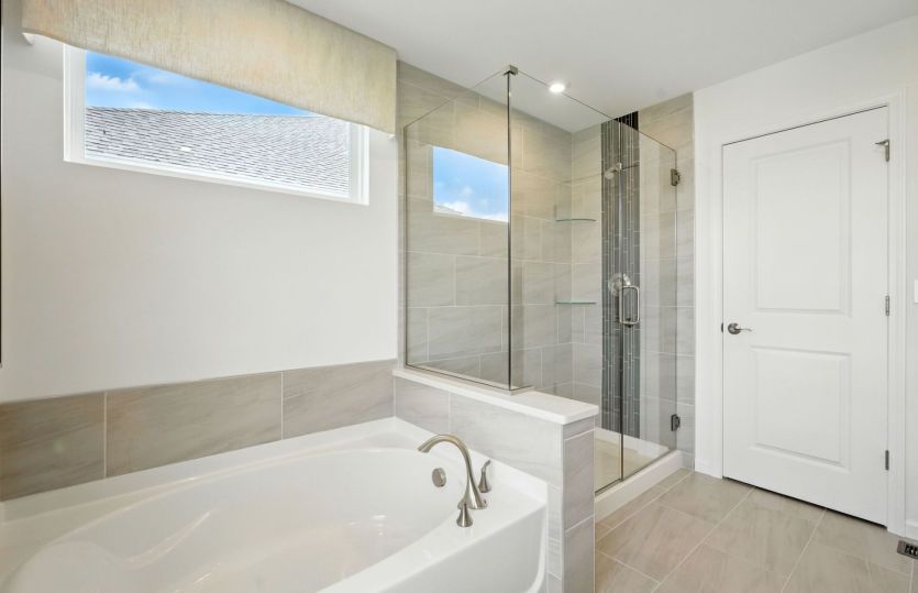 Separate Tub/Shower in Owner's Bath