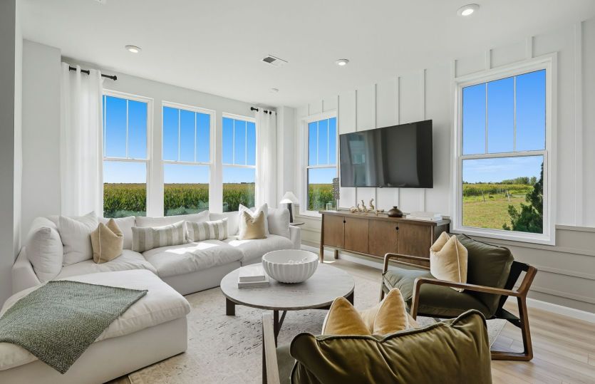 Tons of Natural Light