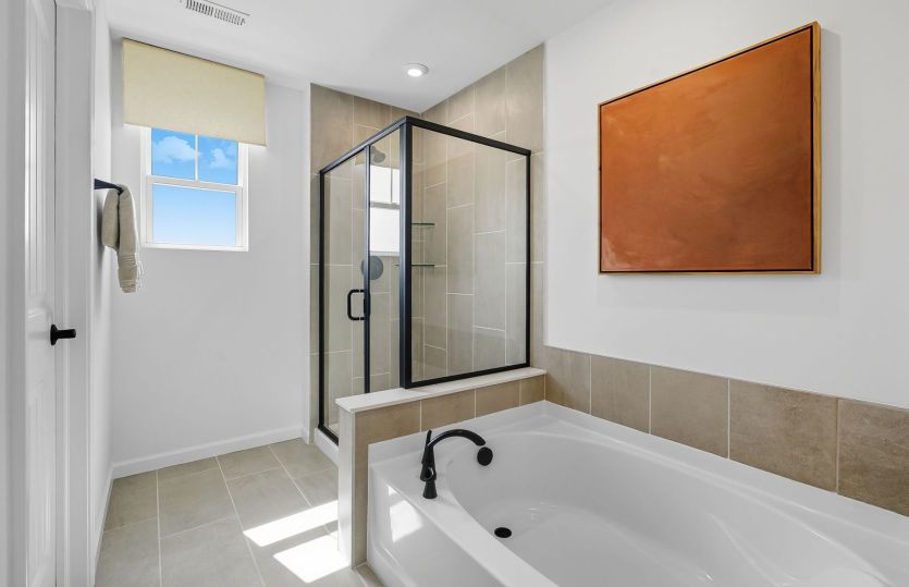 Separate Tub and Shower in Owner's Bath