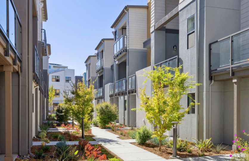 Plan C - The Heights: San Mateo, California - Pulte Homes