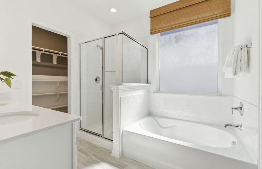 Owner's bath with separate tub and shower