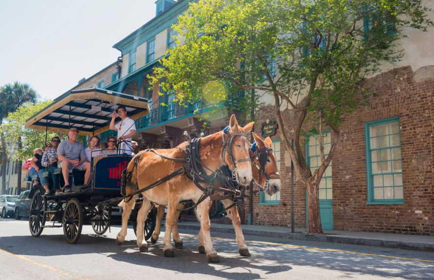 Experience Downtown Charleston