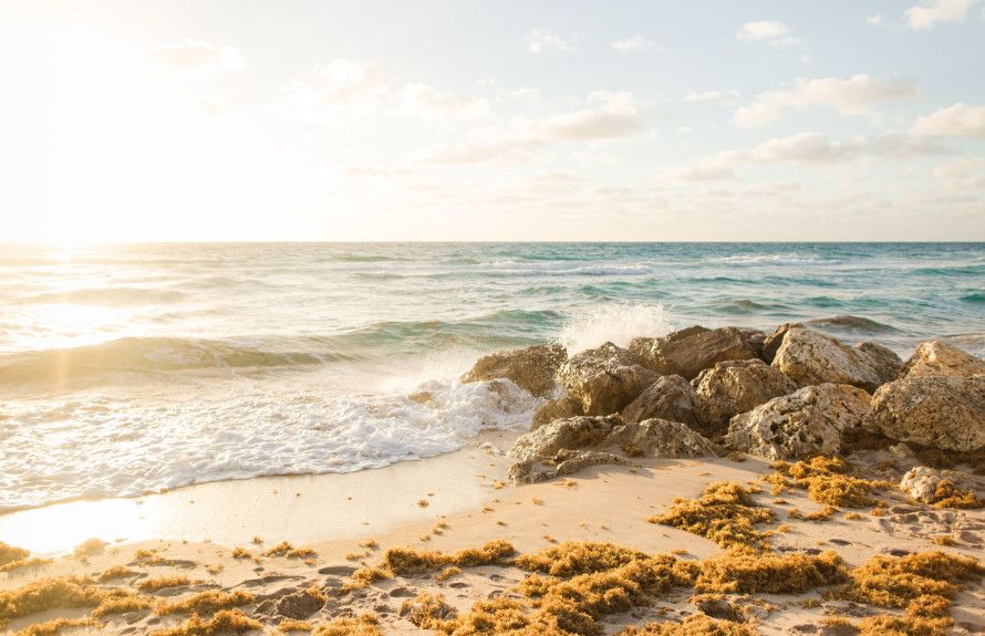 Nearby Beaches