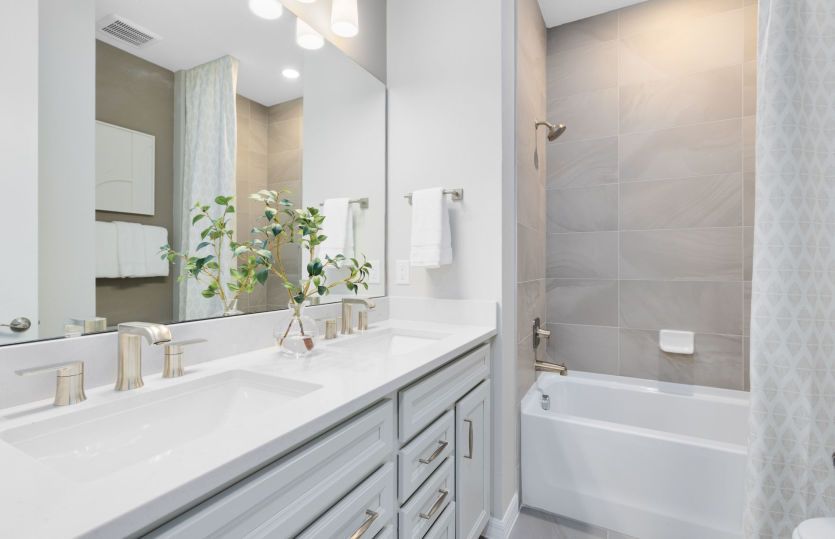 Beautifully Functional Space